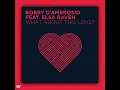 Bobby D Ambrosio Feat Elsa Raven - What About This Love Classic Club Mix OSIO RECORDS Soulful