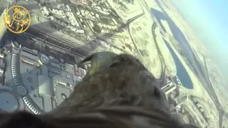 ياطير ياللي تكسر الحوم أداء وضاح المري 