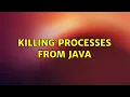Killing processes from Java