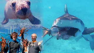 Sailing to Galapagos of the Indian Ocean – Ep 158