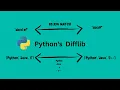 Python s Difflib Finding the difference between datatypes