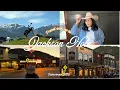 Our First Day in Jackson Hole Wyoming Landing Inside a National Park Cowboy Bar Glorietta