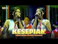 Download Lagu KESEPIAN ( VIERRA) - ADINDA RAHMA OM NIRWANA COMEBACK LIVE JOMBANG