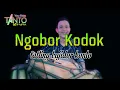 Download Lagu Ngobor Kodok tarling bajidor viral Live perfom@tantocimotbangplakofficial