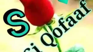 Sirbaa Jaalala Fagenyatii Yaa Hamatuu 