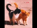 Download Lagu JVKE-This is what falling in love feels like {Edit audio}