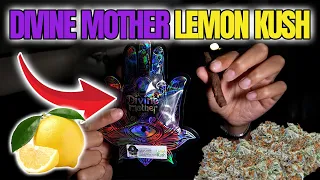 I Tried Divine Mother Lemon Kush This Strain Goes CRAZY