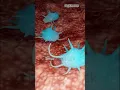 Download Lagu White Blood cells VS Virus  (3d animation)