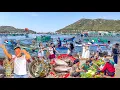 Download Lagu Đảo Bình Ba Chỉ Người Trong Nước Được Đến | Quốc Đảo Tôm Hùm Vịnh Cam Ranh