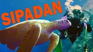 Sipadan: Best Diving in the World | Discover Sabah, Borneo Ep 224
