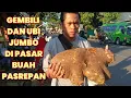 LIHAT PASAR BUAH PASREPAN TERNYATA ADA GEMBILI JUMBO DAN UBI JUMBO DISINI HARGANYA MURAH MURAH