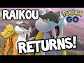 RAIKOU RETURNS Why you NEED to get RAIKOU in Pokemon GO