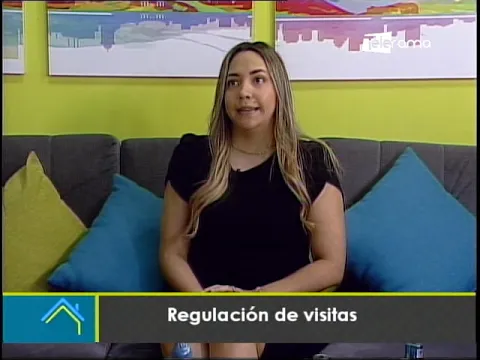 Regulación de visitas