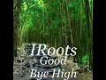Good Bye High