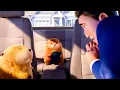 We Are Your Friends - Hoppers Clip 2026 Pixar