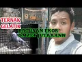 Download Lagu Ternak Gelatik belong Ratusan ekor