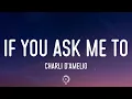 charli d'amelio - if you ask me to (Lyrics)