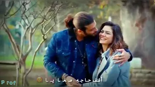 الحكاية حكايتنا   محمد حماقي دندنها