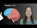 Tips to Remember Brain Parts and Functions