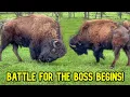 Dunbar Meets Hoss For The First Time