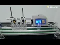 Moonshan 4-Head Automatic Liquid Filling Line - Desktop Version
