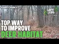 The Most Overlooked Way to Improve Deer Habitat