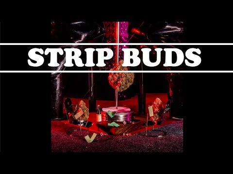 Strip Buds FICC Submission
