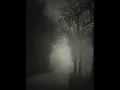 T.Lepistö-Take this heart out of rust-