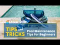 Tips Tricks Pool Maintenance Tips for Beginners Leslie s