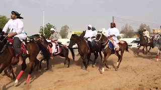 محورب الخيل الجزء الثاني دندنها