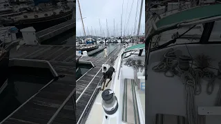 #Fyp #dream #doberman #pets #boat