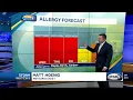 High pollen levels expected to continue across New Hampshire