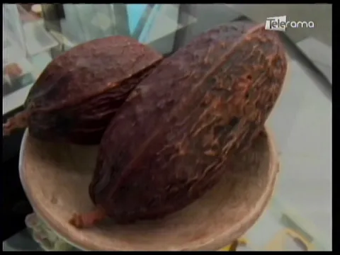 De Cacao 1era. Chocolatería de Guayaquil Mercado del Río Nave el Carmen