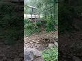 christopher creek cabins tour