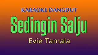 Download SEDINGIN SALJU - KARAOKE DANGDUT EVIE TAMALA MP3