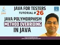 Java for Testers - Java Polymorphism Method Overriding in Java