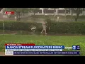 Manoa Stream jumps 10 feet in height in 30 minutes floodwaters continue rising