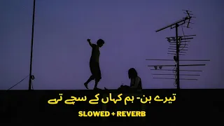 hum kha kay sachay thay tere bin slowed reverb yashal shahid
