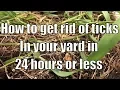 Download Lagu How to get rid of ticks in your yard in 24 hours or less