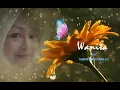 Download Lagu WANITA (+Lirik) By Harvey Malaiholo