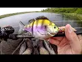 Download Lagu Fishing A Bluegill Lure For Lake Monsters!
