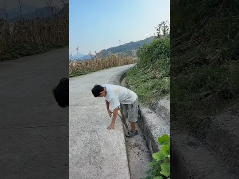 😱😨Stealing The Drain Cover
