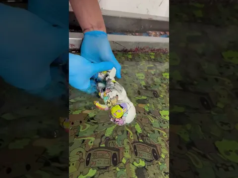 Hydro Dipping Astronaut #satisfying #hydrodipping