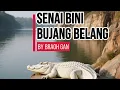 Download Lagu Senai Bini Bujang Belang 