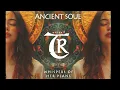 Download Lagu Ancient Soul - Whispers Of Her Plans (Original Mix)