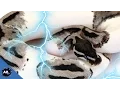 Lightning Ball Python SnakeBytesTV - Ep 409