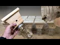 How to Make the Best Carpenter Bee Trap that Actually Works