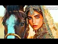 Arabic Music Instrumental - Echoes of the Oasis – Healing Oud for Inner Calm