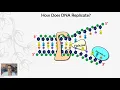 DNA Replication AP Biology 6 2