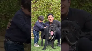 شوفو هيكتور عمل اية مع الطفل 